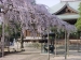 東漸寺