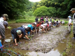 里山の自然学校2011参加者募集