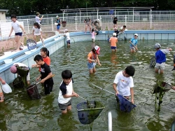 里山の自然学校2011参加者募集