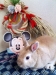 うさぎファンクラブ