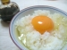 柏でグルメを探訪し隊