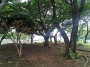 公園情報
