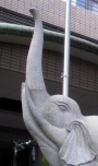 ここどこ？