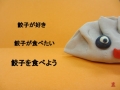 まいぷれ宇都宮特集　ぎょうざ・ギョウザ・餃子　～空腹を呼ぶ編～