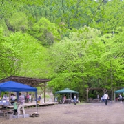 115463.banner_3