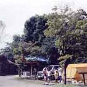 115464.banner_3