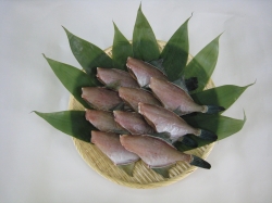 魚の駅「生地」：浜の逸品！生地の塩物！
