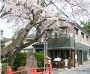市川　真間情報