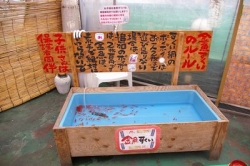 すし幸　スカイガーデン：お子様がくぎ付け！　金魚すくいコーナーが登場