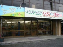ペットストア　いんｔｏまやー