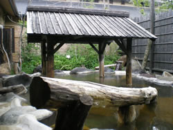 縄文天然温泉　志楽の湯