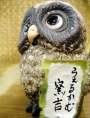 決算セール実施中