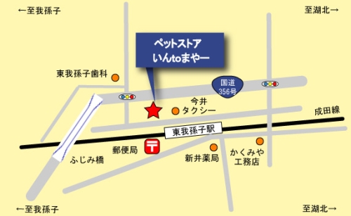 ペットストア　いんｔｏまやーの地図