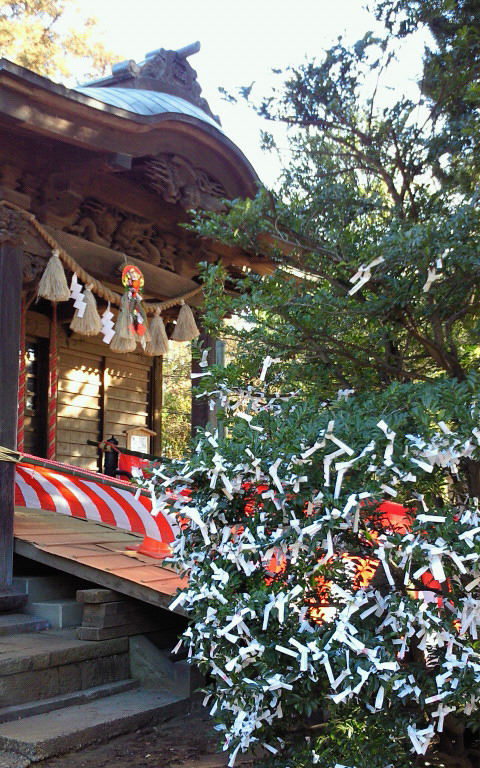 2012年　本日より営業開始致しました。