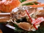 美味しい　松葉かに入荷中！！