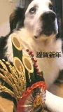 今年もよろしくお願いいたします！！