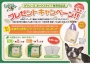 新発売！！グリニーズBOXタイプ　ポイント１０倍!!