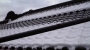 今日は旧正月です。