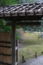年に一度のボランティア