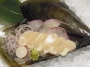 ●旬メニュー続々登場！！●