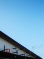 今週末と、2月のオシラセ。