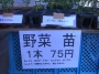 夏野菜（トマト、なすび等）の苗の販売を始めました。　