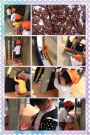八重桜♪【交野市・保育園・一時預り・月極保育】
