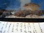 下関唐戸　居酒屋　魚正本陣　各種ご宴会ご予約承り中！
