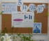 5月限定です(*^_^*)