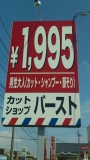 大好評！カラー＆育毛キャンペーン