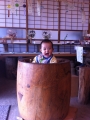 “  看板娘  ”