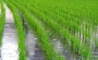 雨の時割引スタート！