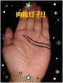 ☆★肉食女子線☆★