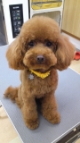 りんごちゃん(*^o^*)