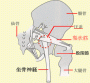 腰痛の原因と対策（３）