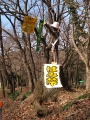 取材に行く途中で…その2