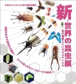 夏の特別企画展「新・世界の昆虫展～虫の秘密とバイオミメティクス」