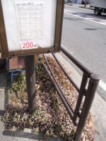 石神橋バス停の春