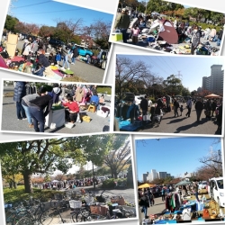 新田6号公園フリーマーケット フリマ まいぷれ 江戸川区