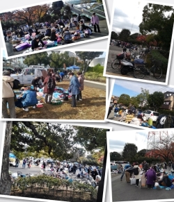 新田はらっぱ公園フリーマーケット フリマ まいぷれ 江戸川区