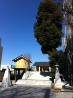 new　赤城神社