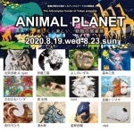 ACT企画グループ展「ANIMAL PLANET 2020」