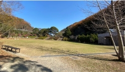 るらるマーケット In 植物公園緑花センター フリマ まいぷれ 和歌山市