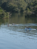 山口国体　ボート競技