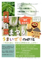 円城白菜まつり