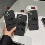 Chanel Supreme THE NORTH FACE Iphone 15 14 13 case AirPods celine band