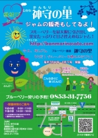 斐川でブルーベリー狩り出来ます！