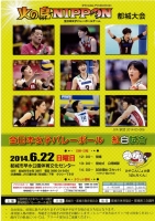 2014全日本女子バレーボール紅白試合　都城大会