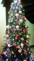 【クリスマスツリー】千葉パルコ！