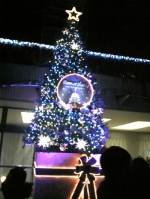 【クリスマスツリー】成田空港
